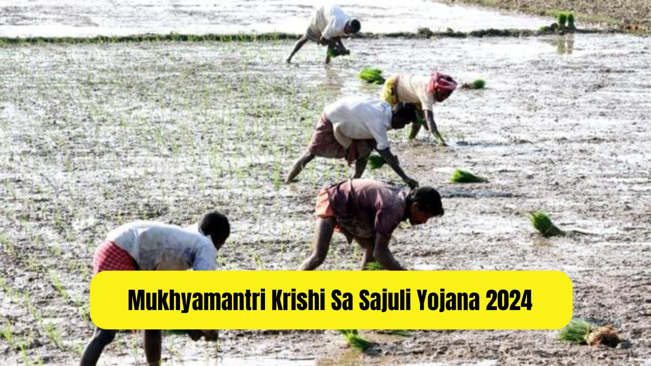 Mukhyamantri Krishi Sa Sajuli Yojana 2024