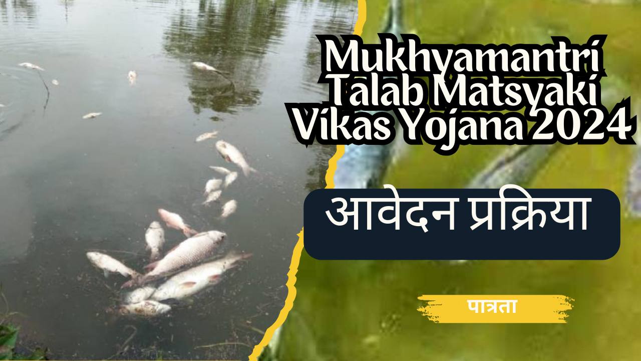 Mukhyamantri Talab Matsyaki Vikas Yojana 2024