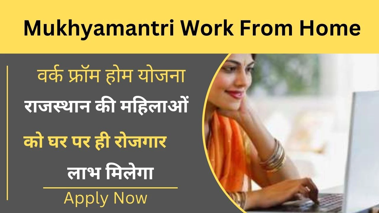 Mukhyamantri Work From Home Yojana